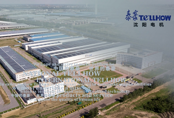 iM电竞沈电综合样本